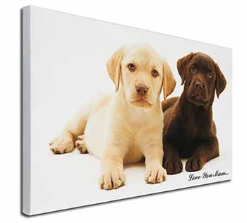 Labrador Puppy Dogs 