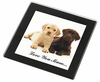 Labrador Puppy Dogs 