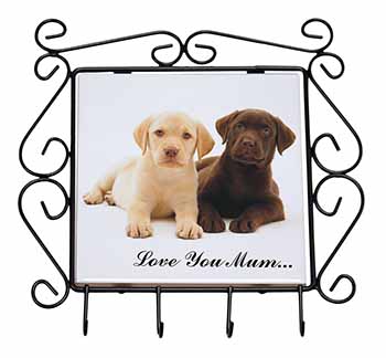 Labrador Puppy Dogs 