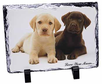 Labrador Puppy Dogs 