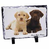 Labrador Puppy Dogs 