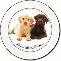 Labrador Puppy Dogs 