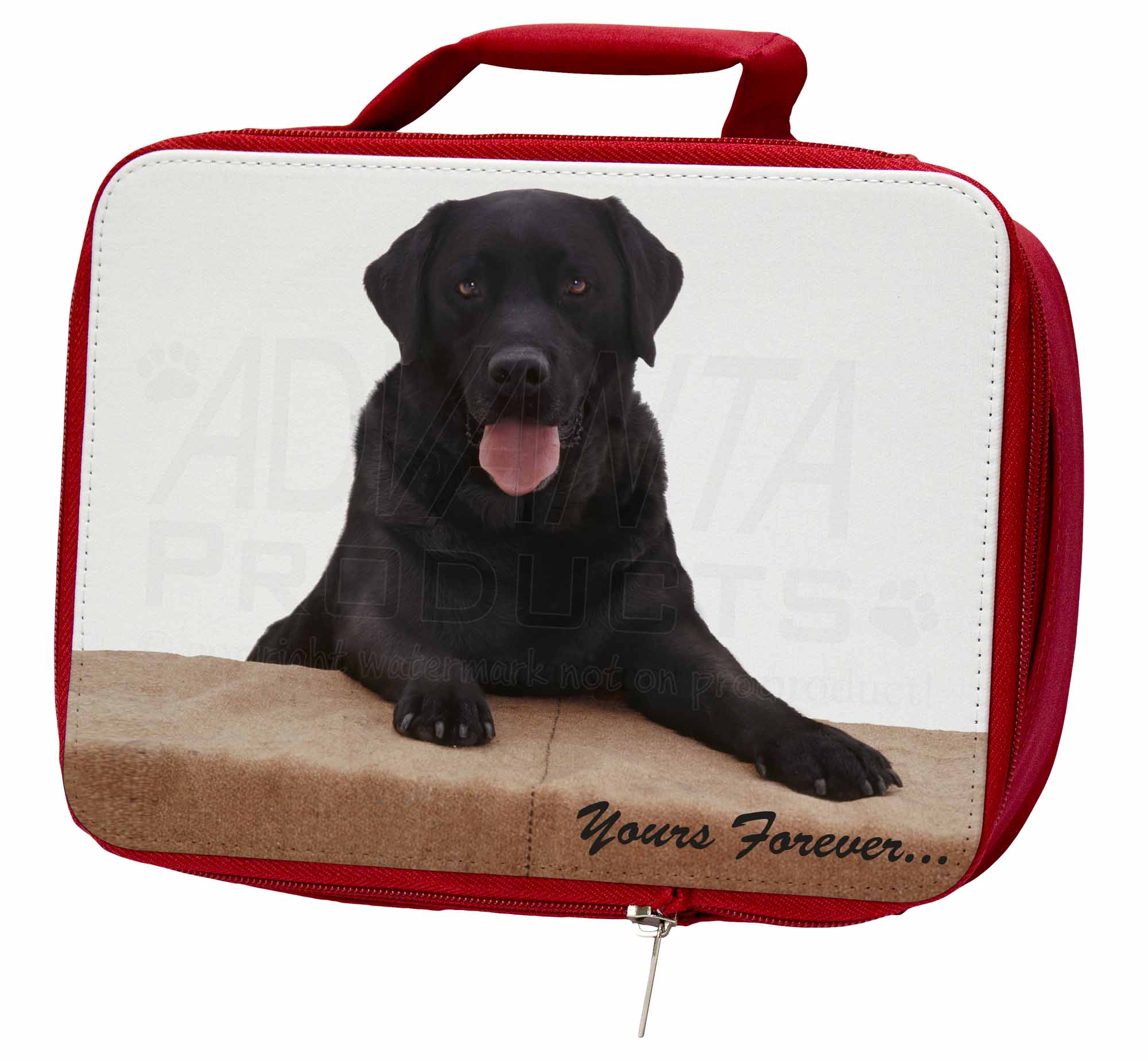 Black Labrador 'Yours Forever' Insulated Red School Lunch BoxPicnic , ADL91LBR Black Labrador 'Yours Forever' Insulated Red School Lunch BoxPicnic , ADL91LBR