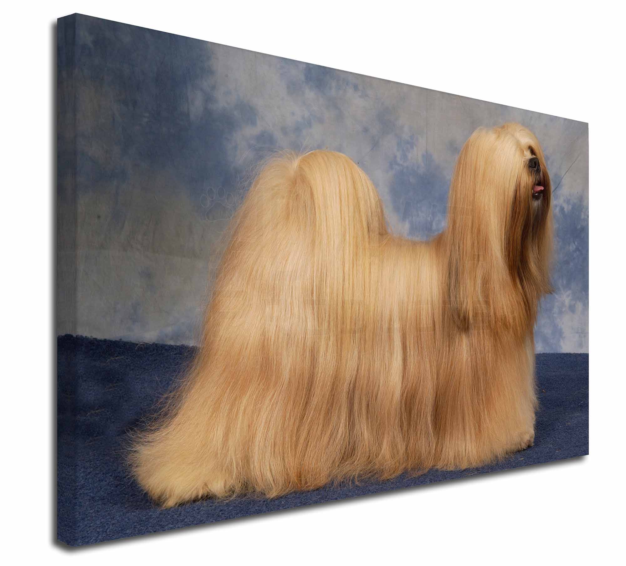 Lhasa Apso Dog 30 X20 Wall Art Canvas Extra Large Picture Print