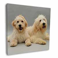 Labradoodle Dog Square Canvas 12"x12" Wall Art Picture Print