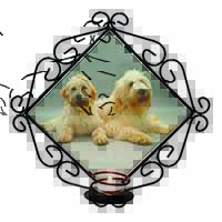 Labradoodle Dog Wrought Iron Wall Art Candle Holder