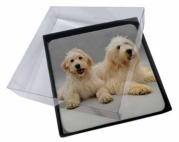 4x Labradoodle Dog Picture Table Coasters Set in Gift Box