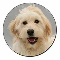 Labradoodle Dog Fridge Magnet Printed Full Colour