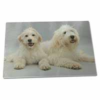 Large Glass Cutting Chopping Board Labradoodle Dog