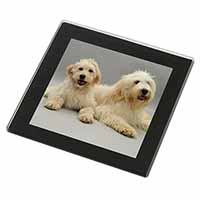 Labradoodle Dog Black Rim High Quality Glass Coaster