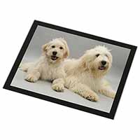 Labradoodle Dog Black Rim High Quality Glass Placemat