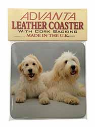 Labradoodle Dog Single Leather Photo Coaster
