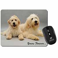 Labradoodle Dogs 