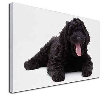 Black Labradoodle Dog Canvas X-Large 30"x20" Wall Art Print