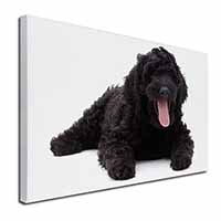 Black Labradoodle Dog Canvas X-Large 30"x20" Wall Art Print