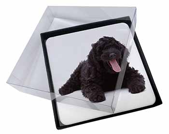 4x Black Labradoodle Dog Picture Table Coasters Set in Gift Box