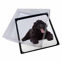 4x Black Labradoodle Dog Picture Table Coasters Set in Gift Box
