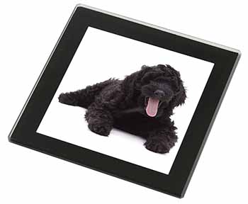 Black Labradoodle Dog Black Rim High Quality Glass Coaster