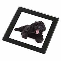 Black Labradoodle Dog Black Rim High Quality Glass Coaster