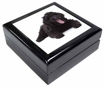 Black Labradoodle Dog Keepsake/Jewellery Box