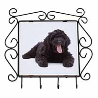 Black Labradoodle Dog Wrought Iron Key Holder Hooks