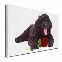 Labradoodle Dog with Red Rose Canvas X-Large 30"x20" Wall Art Print