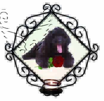 Labradoodle Dog with Red Rose Wrought Iron Wall Art Candle Holder