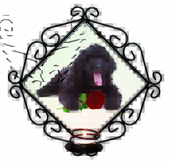 Labradoodle Dog with Red Rose Wrought Iron Wall Art Candle Holder