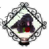 Labradoodle Dog with Red Rose Wrought Iron Wall Art Candle Holder