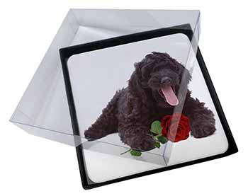 4x Labradoodle Dog with Red Rose Picture Table Coasters Set in Gift Box