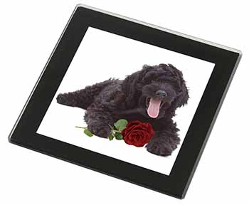 Labradoodle Dog with Red Rose Black Rim High Quality Glass Coaster