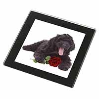 Labradoodle Dog with Red Rose Black Rim High Quality Glass Coaster