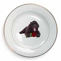 Labradoodle Dog with Red Rose Gold Rim Plate Printed Full Colour in Gift Box