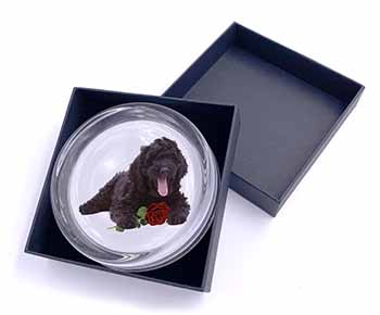 Labradoodle Dog with Red Rose Glass Paperweight in Gift Box