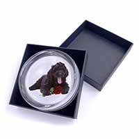 Labradoodle Dog with Red Rose Glass Paperweight in Gift Box