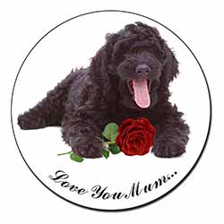 Labradoodle+Rose 