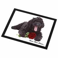 Labradoodle+Rose 