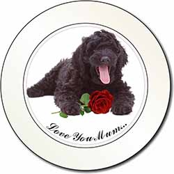 Labradoodle+Rose 