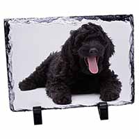 Black Labradoodle Dog, Stunning Photo Slate