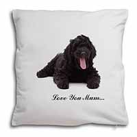 Black Labradoodle 