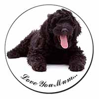 Black Labradoodle 