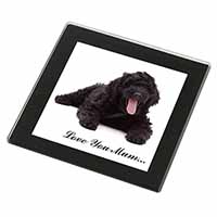 Black Labradoodle 