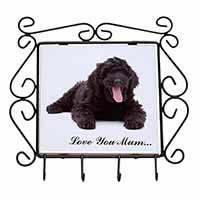 Black Labradoodle 