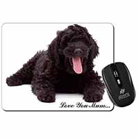 Black Labradoodle 