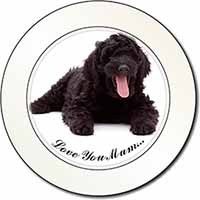 Black Labradoodle 