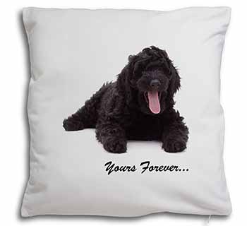 Black Labradoodle 