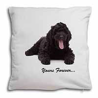 Black Labradoodle 