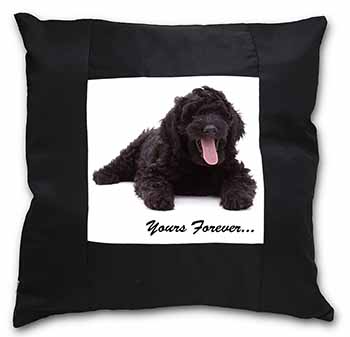 Black Labradoodle 