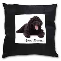 Black Labradoodle 