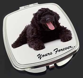 Black Labradoodle 